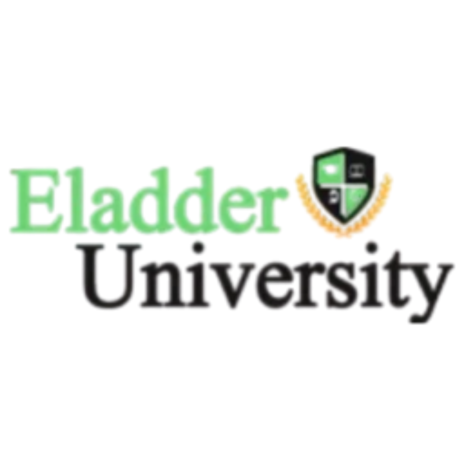 Eladder University (EU) – Global Online Learning